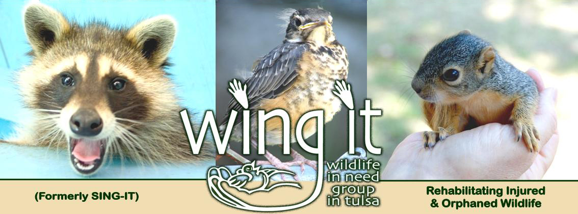 Wing IT